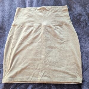 Aritzia skirt